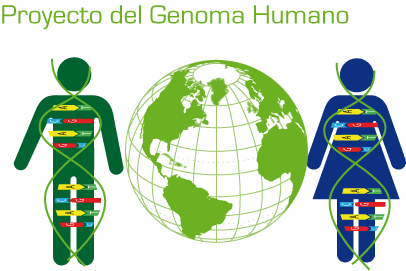 Resultado de imagen para proyecto genoma humano