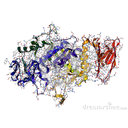 Mostrar la imagen amilasa: es una proteina  que rompe el almidón y el glucógeno en unidades de glucosa