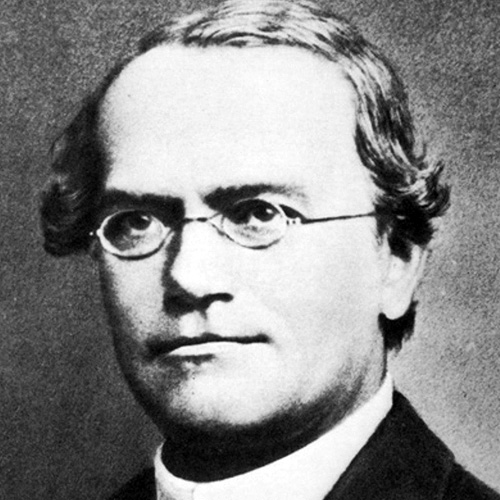 Gregor Johann Mendel | 1822-1884