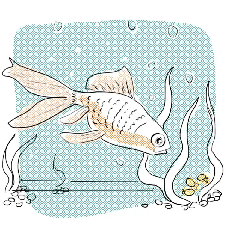 Un pez “goldfish” encuentra su comida debajo de un alga