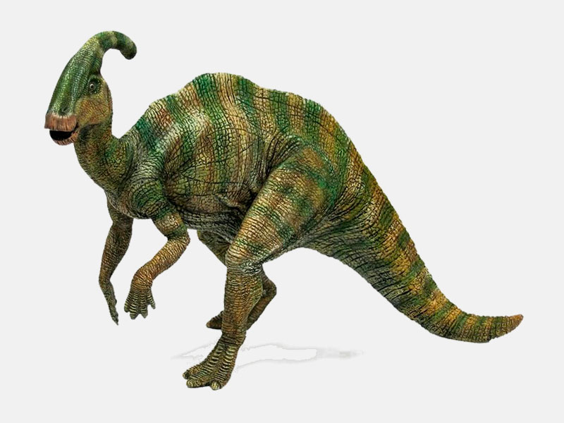 Parasaurolophus sp.