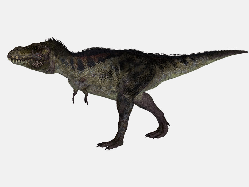 Tirannosaurus rex