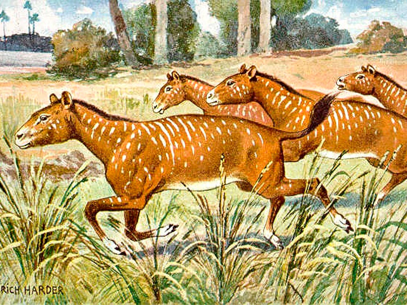 Ancestros de caballo
