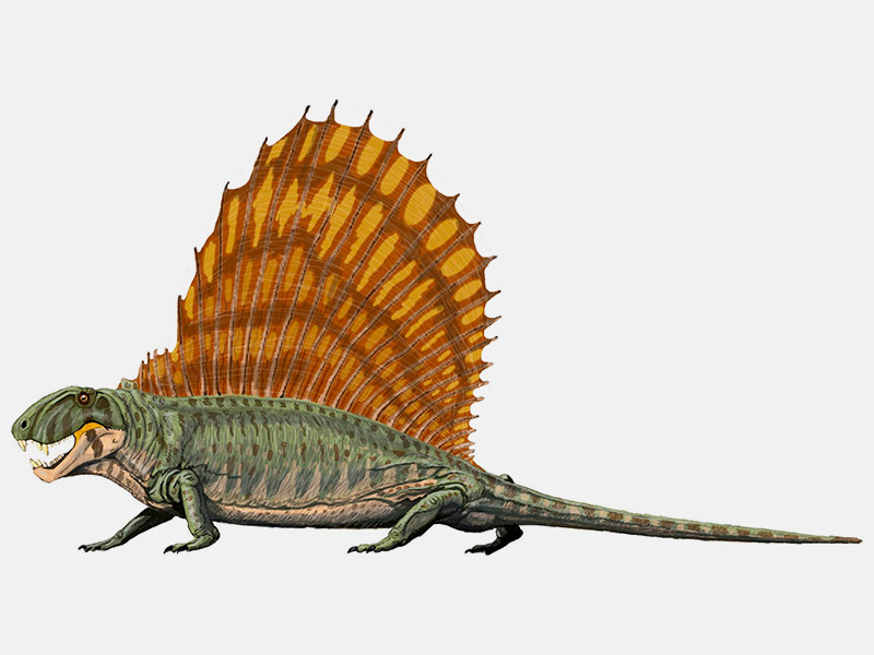 Pelicosaurio