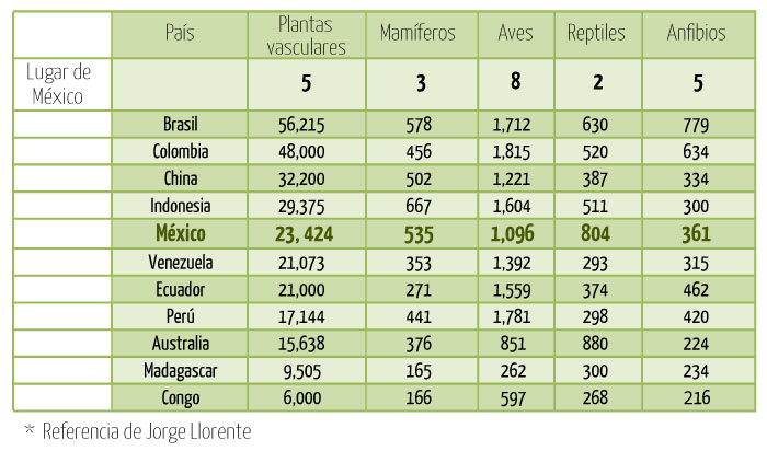 Niveles Portal Académico Del Cch