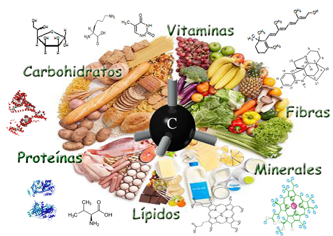 Alimentos con proteinas y carbohidratos