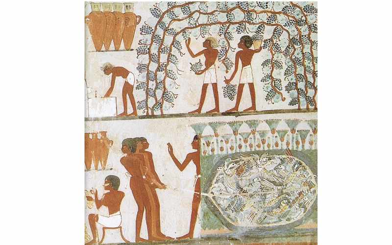 Pintura mural egipcia con escena vinícola, Tumba de Nakht (1420 a.C.) 